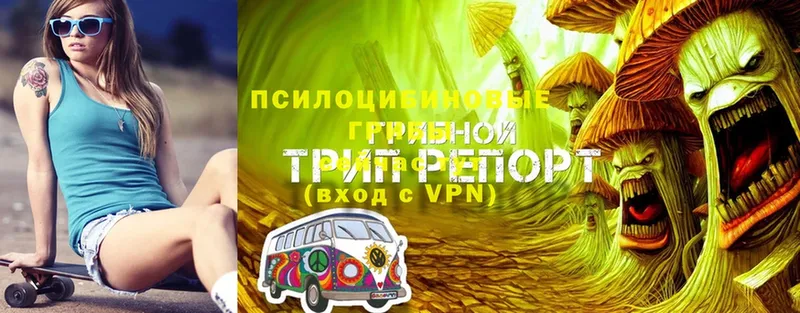 Псилоцибиновые грибы Magic Shrooms  Лысково 